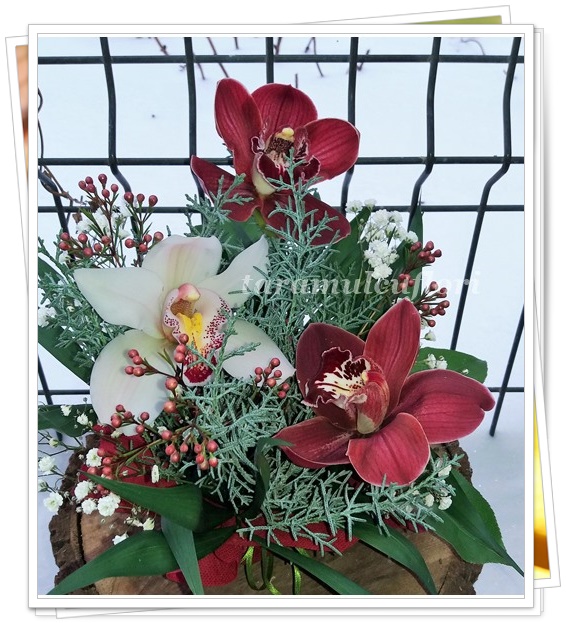 Aranjamente florale cu orhidee.5042